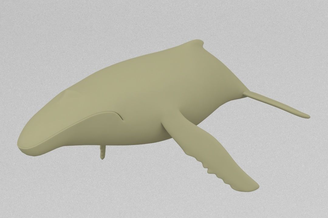 Whale 3D print model_3