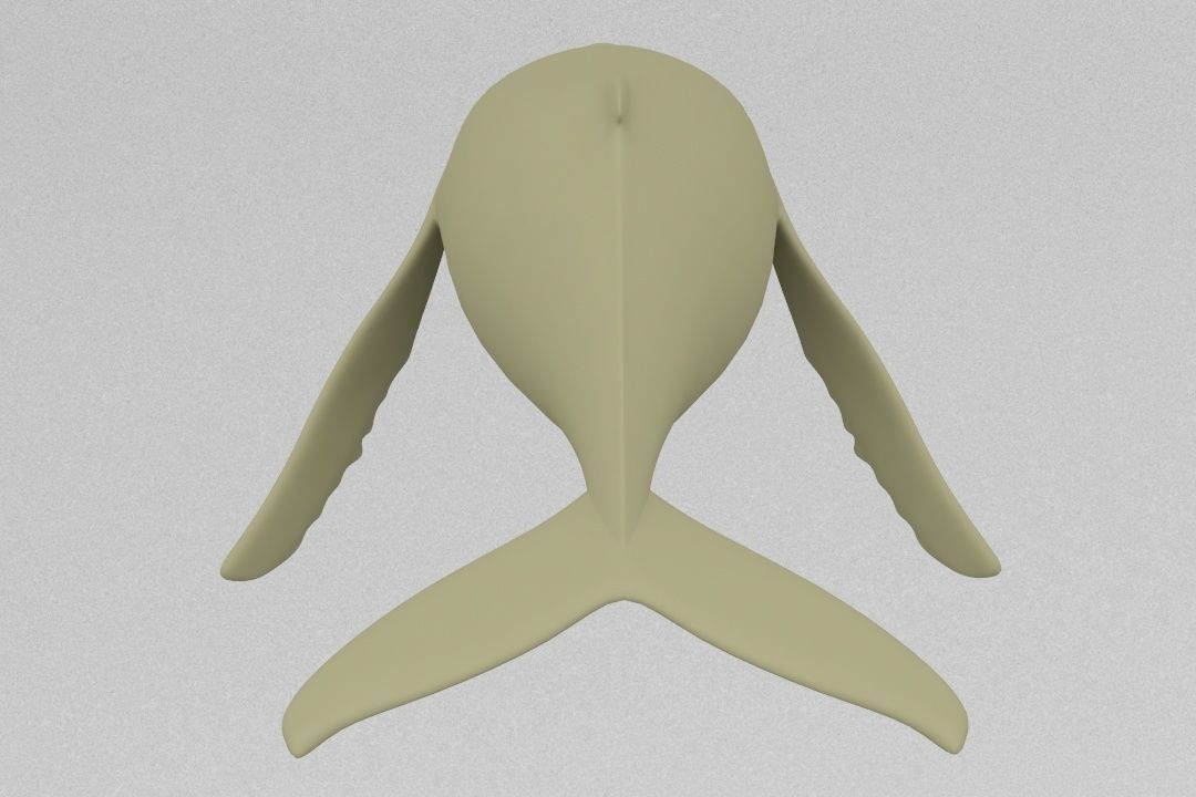 Whale 3D print model_5