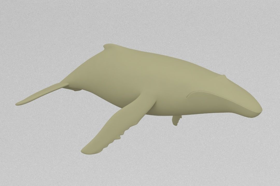 Whale 3D print model_1