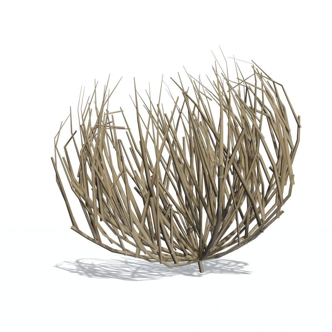 Tumbleweed animated looping Low-poly 3D model_11