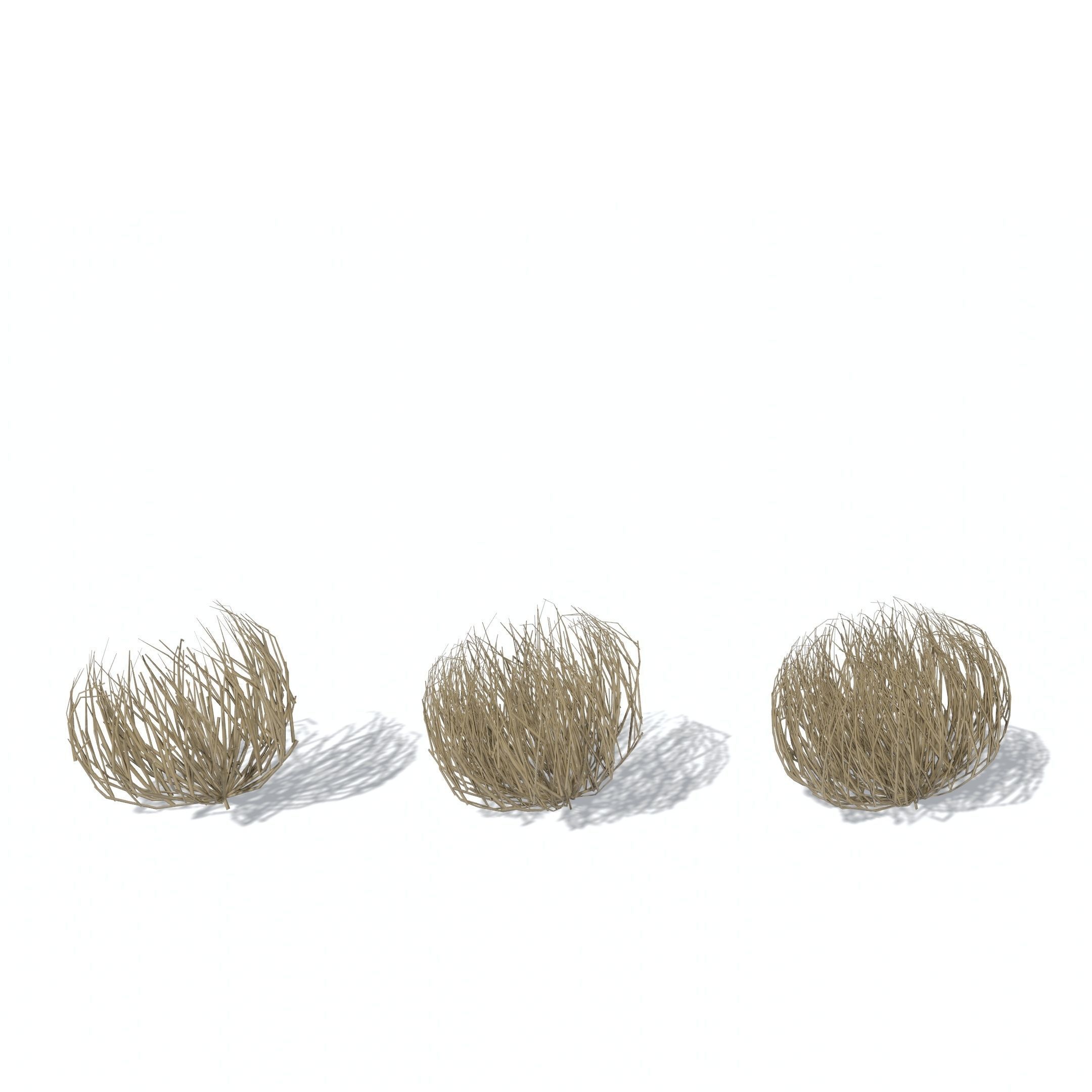 Tumbleweed animated looping Low-poly 3D model_2