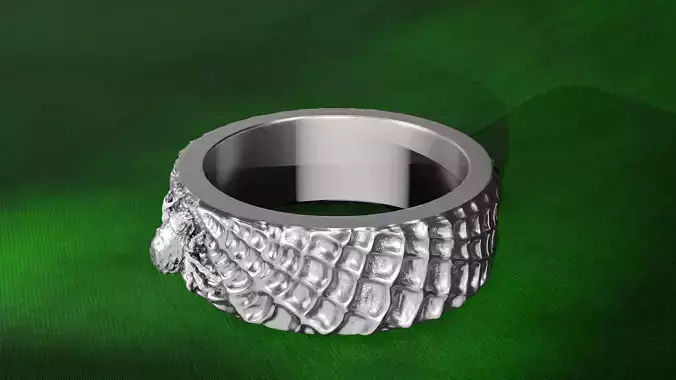 Spider with a web Ring 3D print model