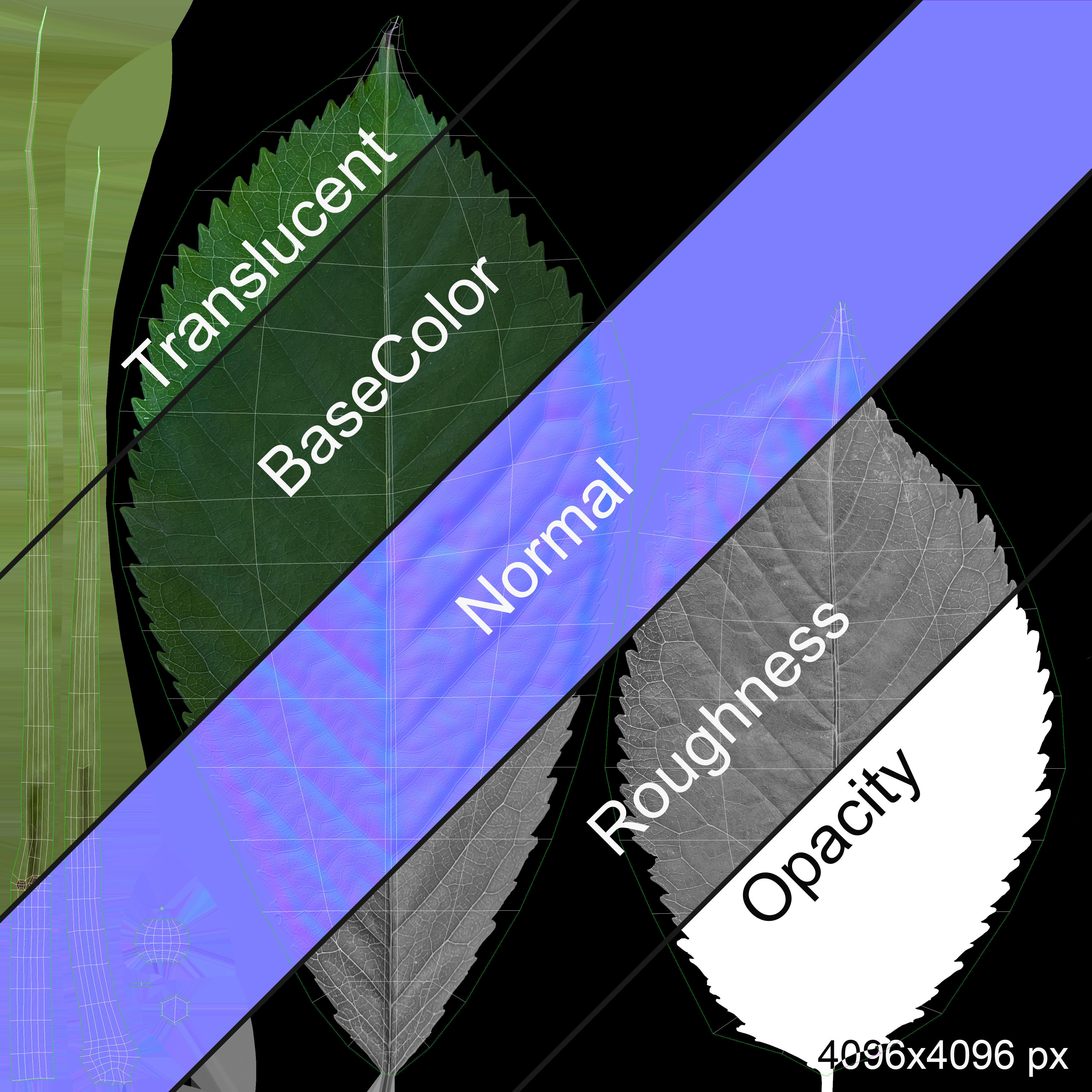 Cherries 3D model_14