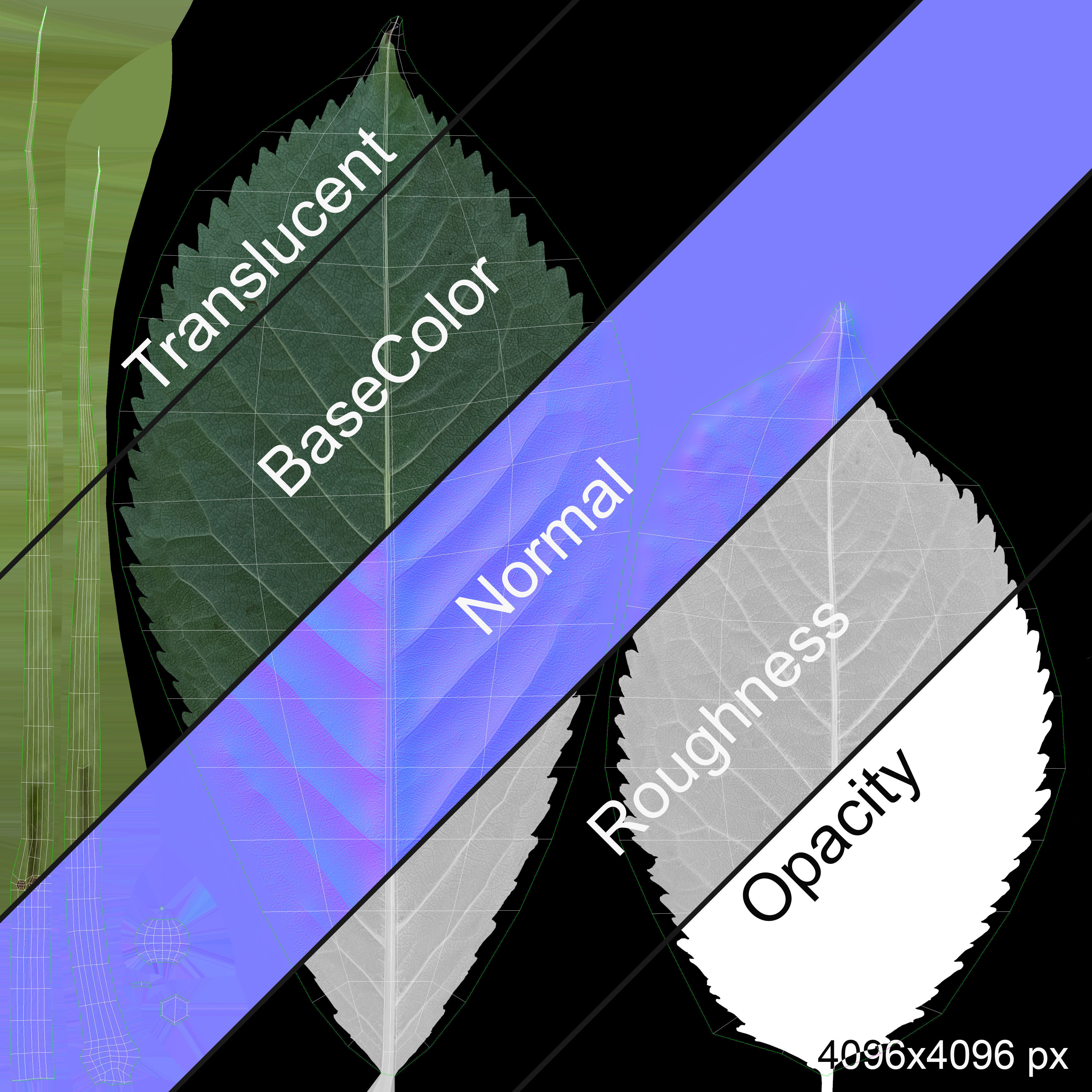 Cherries 3D model_15