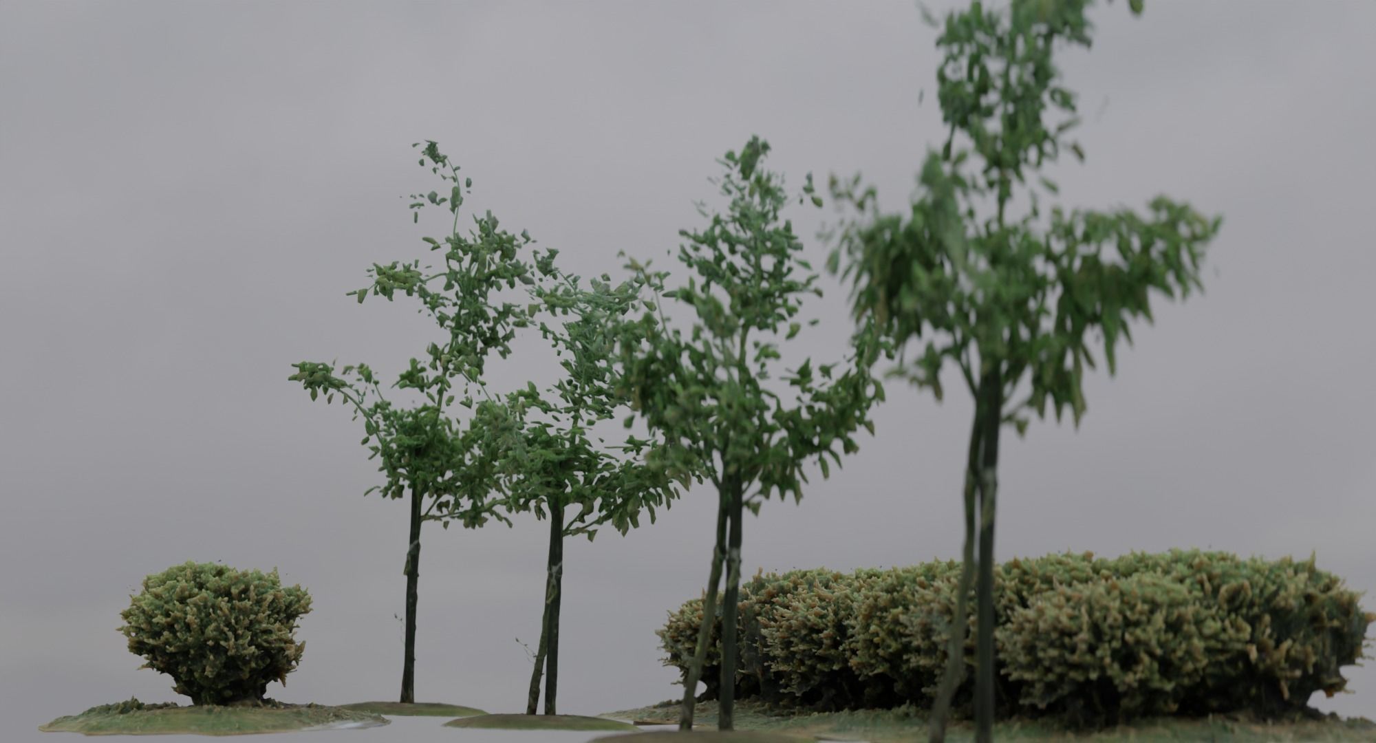 Vegetation Assets - Trees Bushes Low-poly 3D model_4