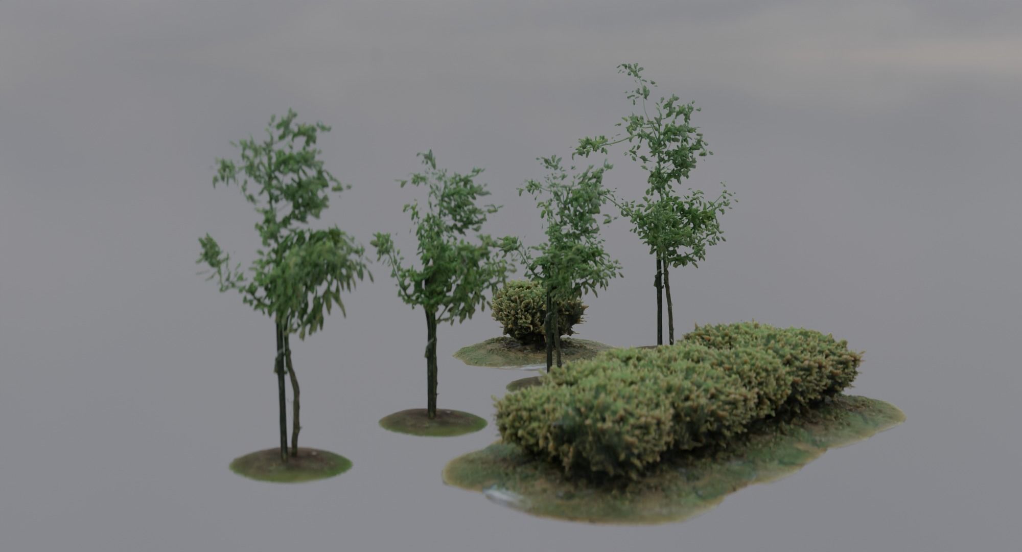 Vegetation Assets - Trees Bushes Low-poly 3D model_6