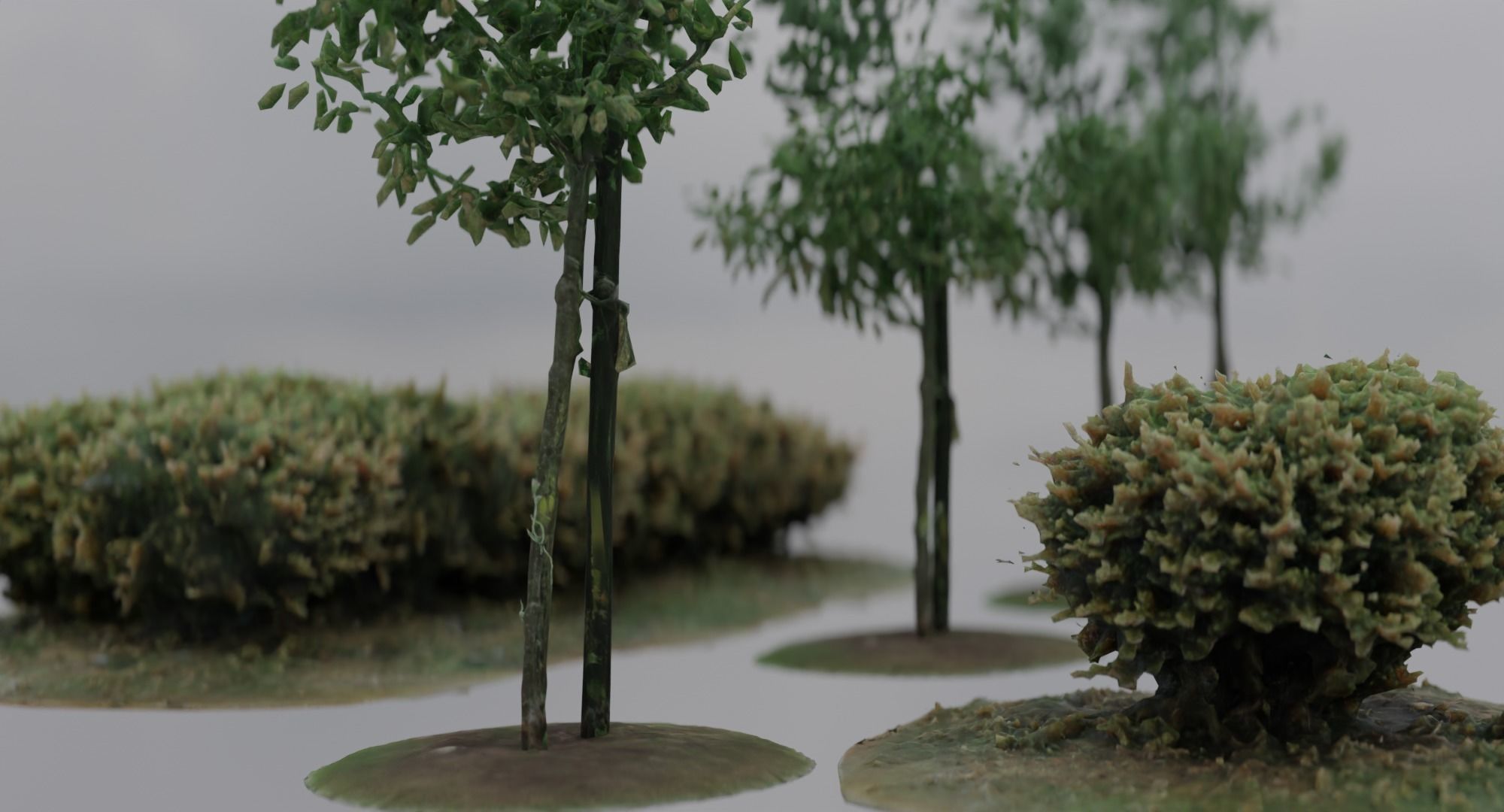 Vegetation Assets - Trees Bushes Low-poly 3D model_7