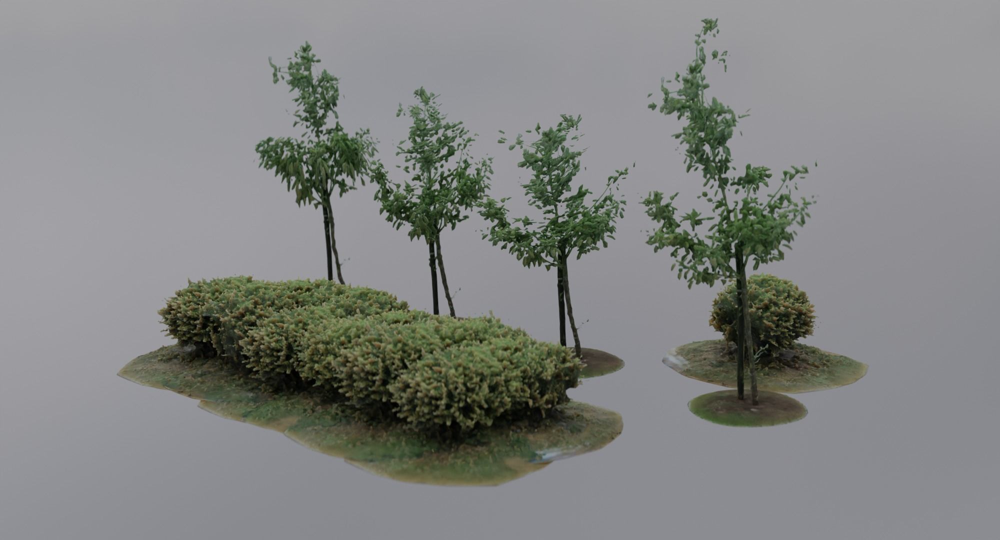 Vegetation Assets - Trees Bushes Low-poly 3D model_1