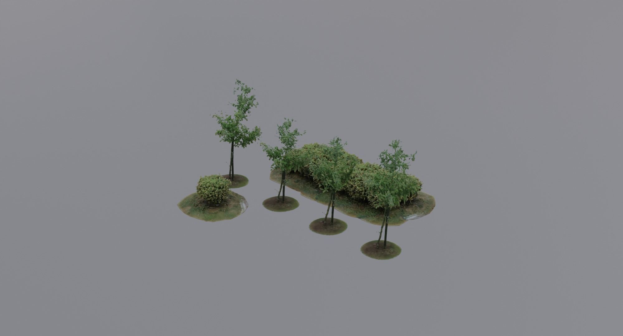 Vegetation Assets - Trees Bushes Low-poly 3D model_5