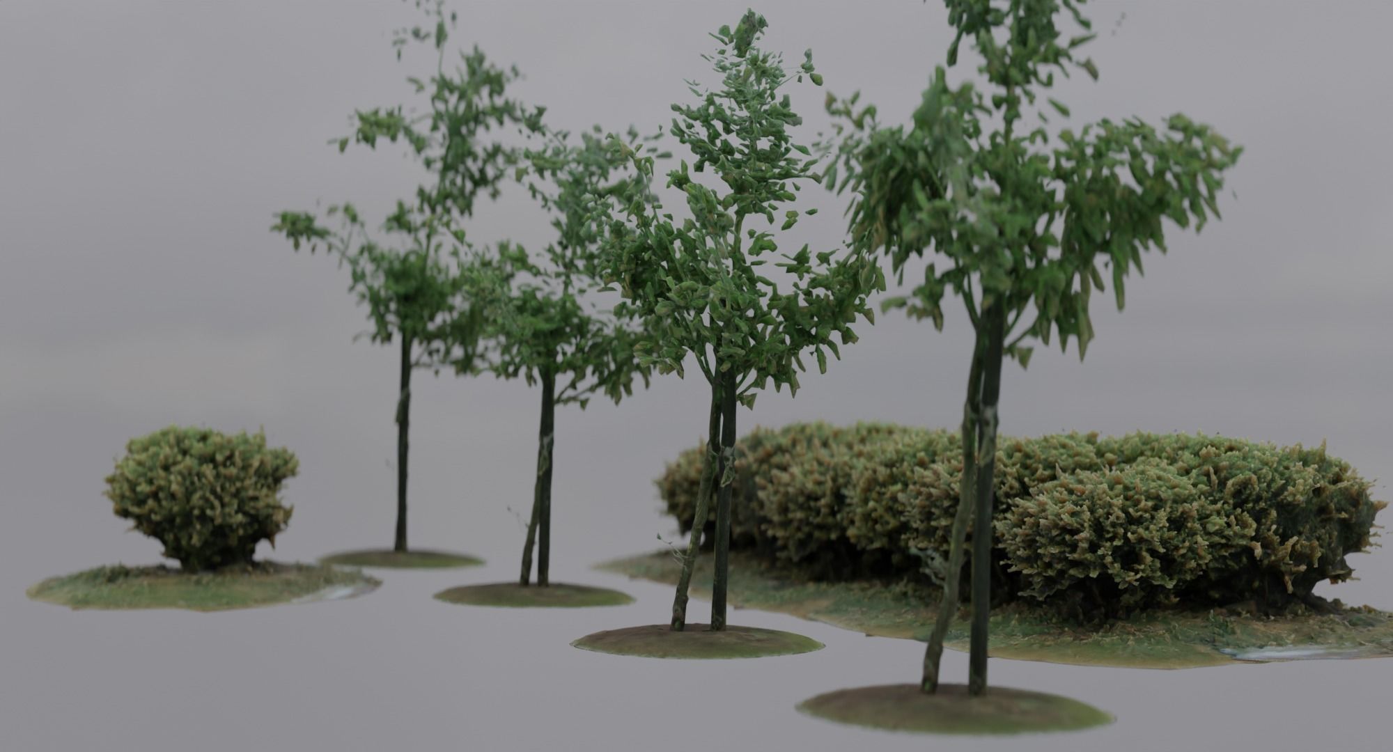 Vegetation Assets - Trees Bushes Low-poly 3D model_10