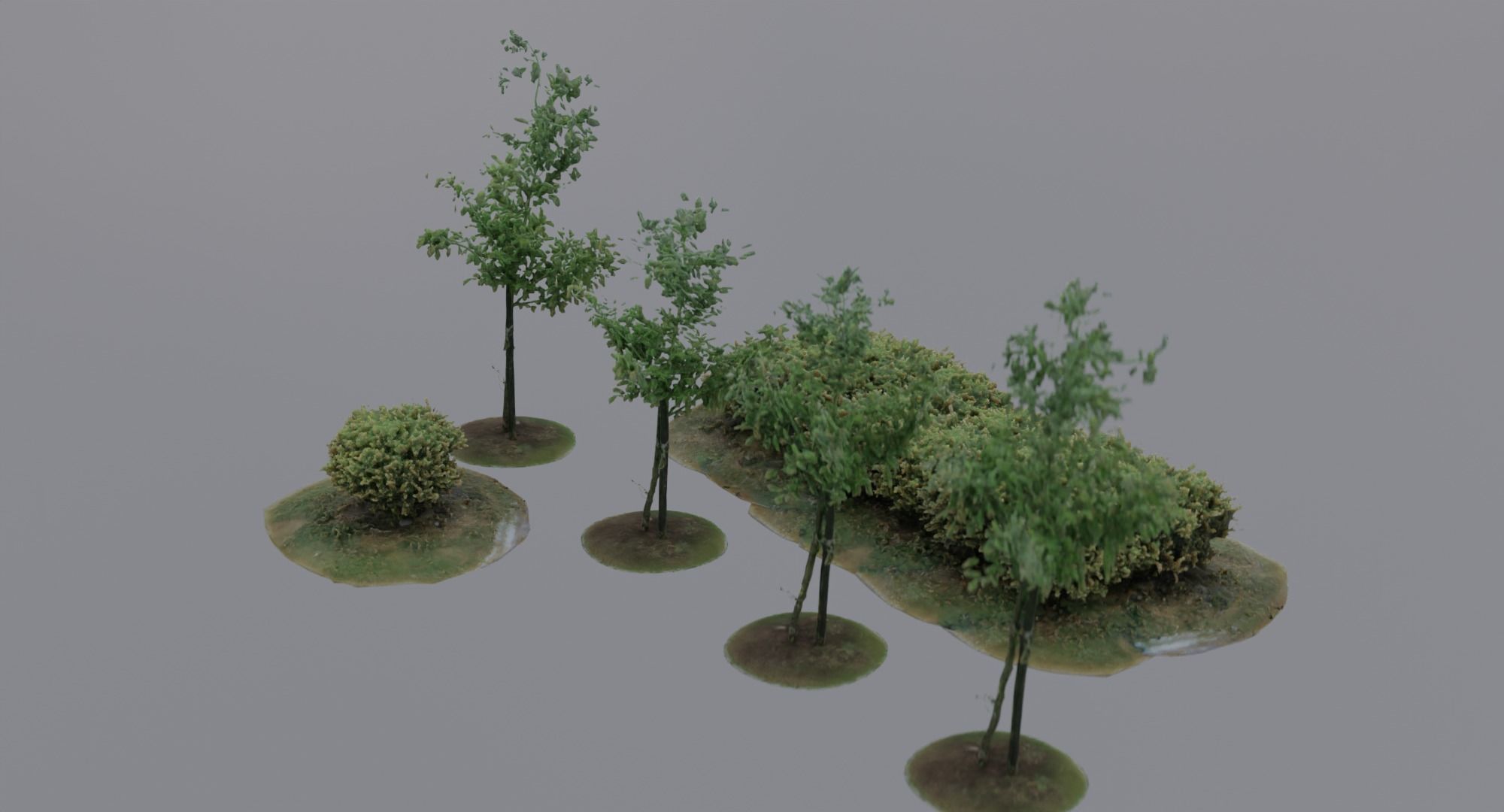 Vegetation Assets - Trees Bushes Low-poly 3D model_2