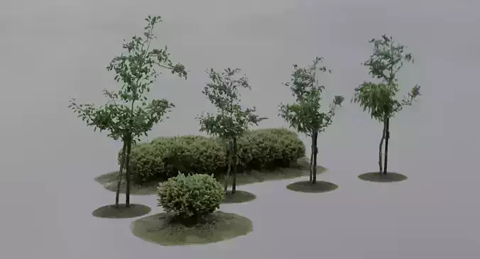 Vegetation Assets - Trees Bushes Low-poly 3D model