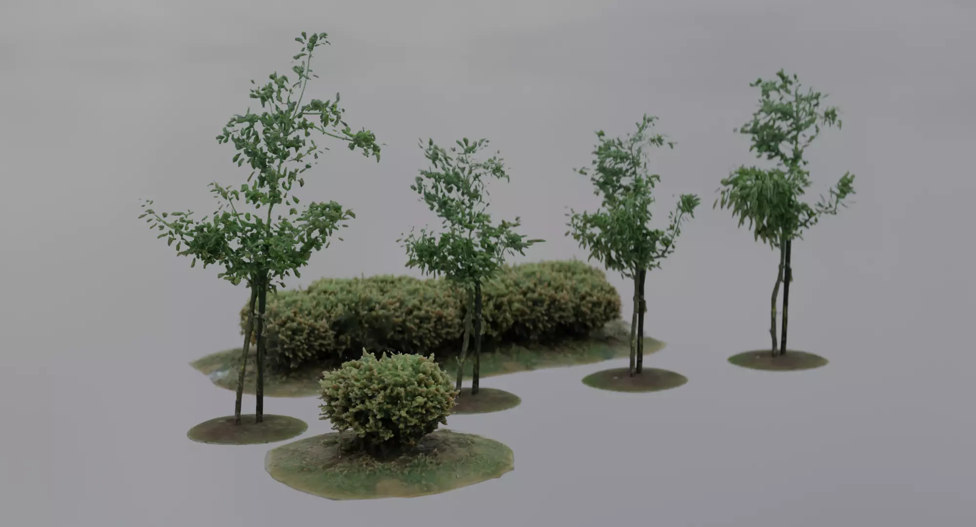 Vegetation Assets - Trees Bushes Low-poly 3D model_0