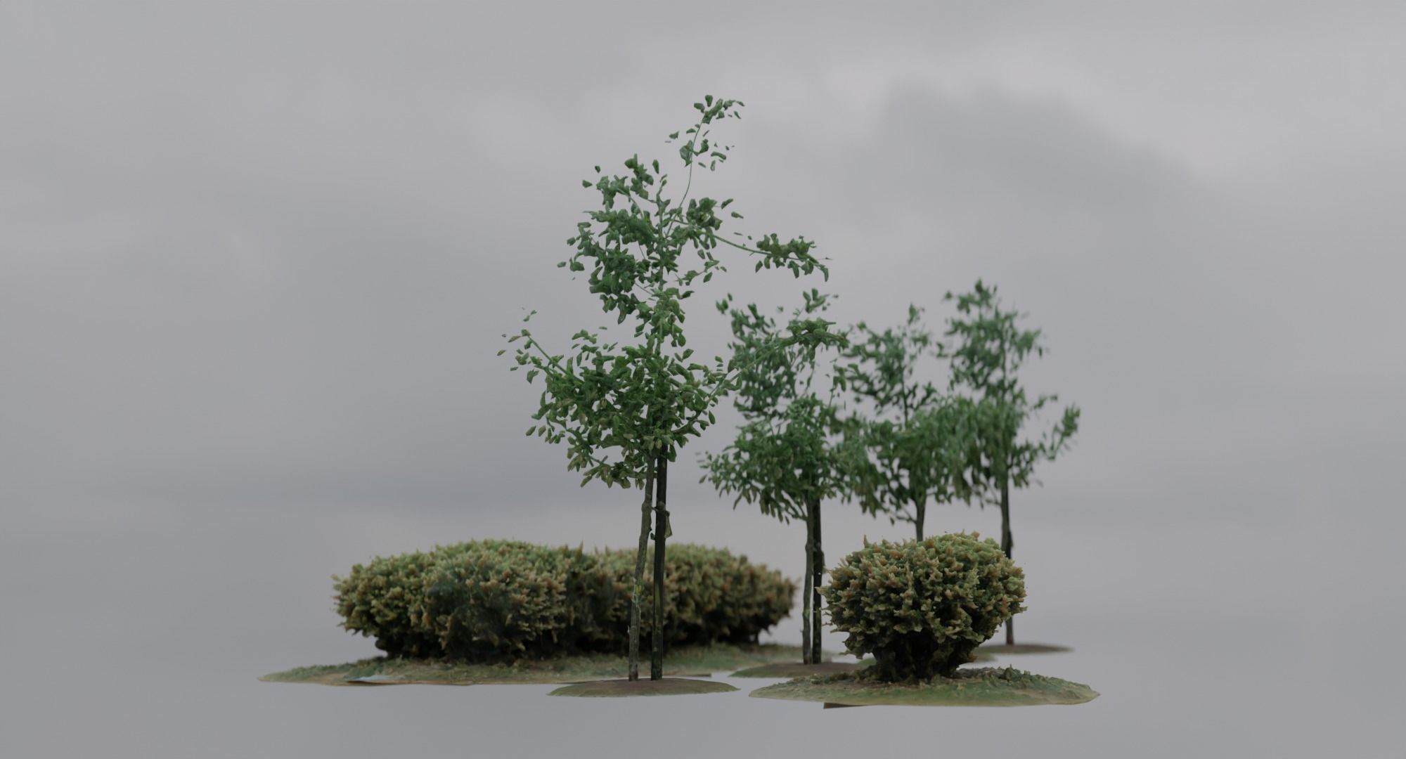 Vegetation Assets - Trees Bushes Low-poly 3D model_3