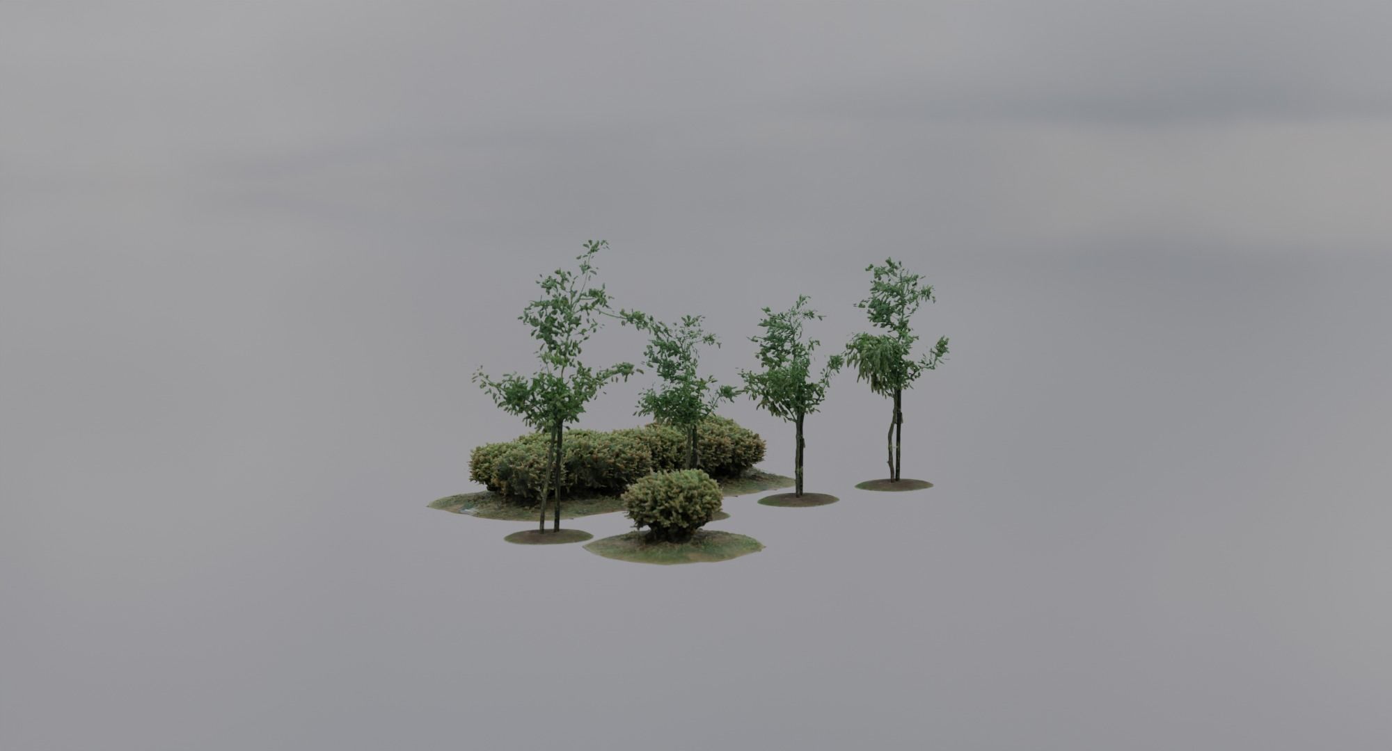 Vegetation Assets - Trees Bushes Low-poly 3D model_8