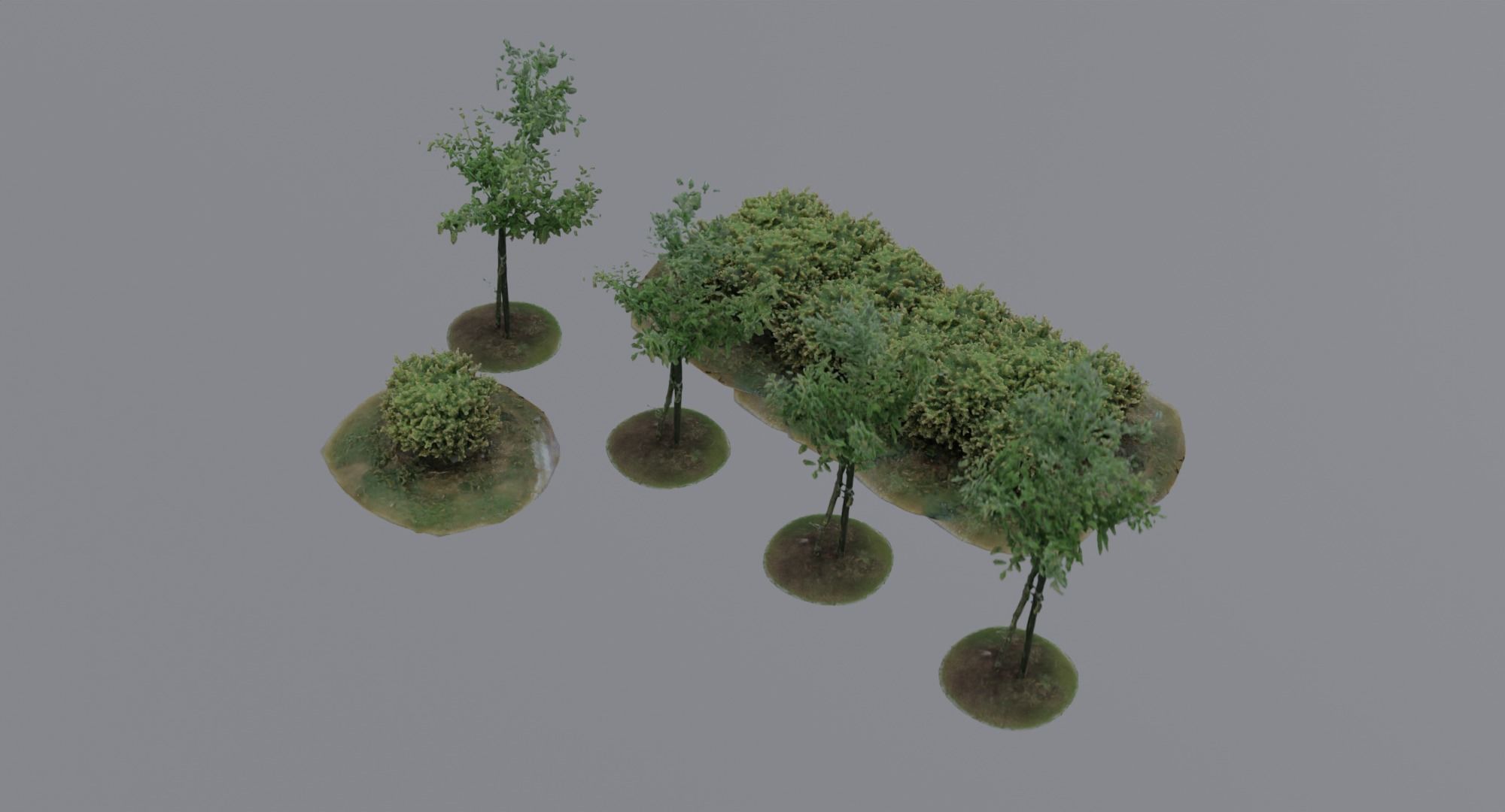 Vegetation Assets - Trees Bushes Low-poly 3D model_9