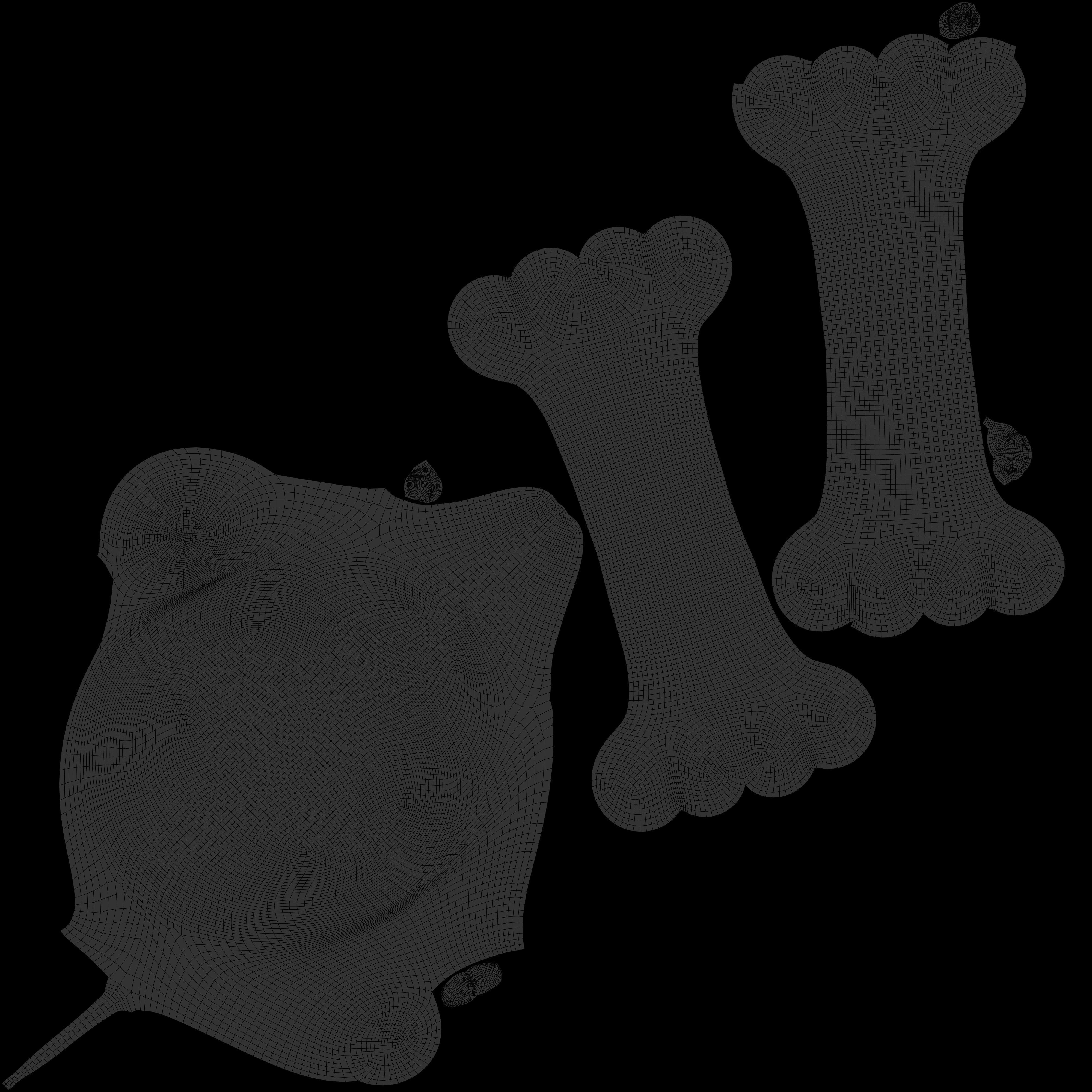 White skull and bones  3D model_7