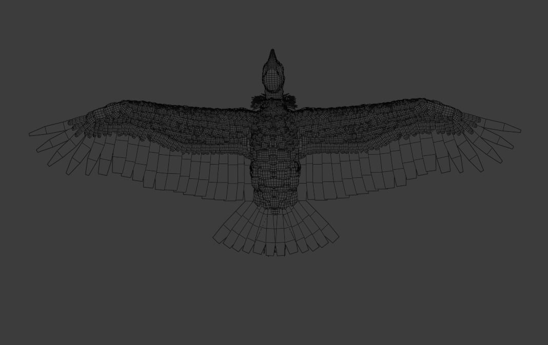 California condor Low-poly 3D model_7
