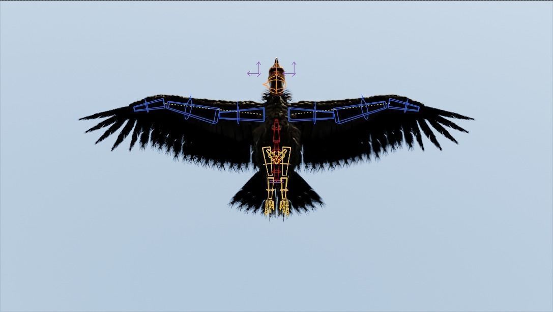 California condor Low-poly 3D model_6