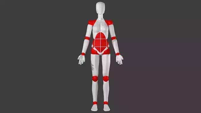 Female Mannequin For Artists