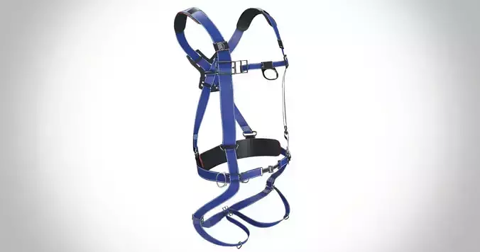 Safety Harness