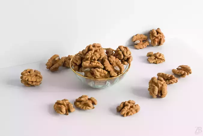 Walnut 3D model