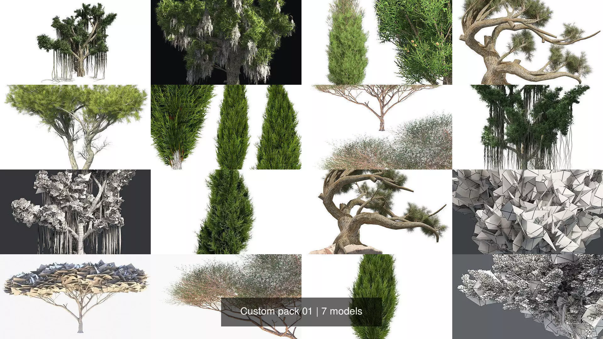 Custom pack 01 3D Model Collection_0