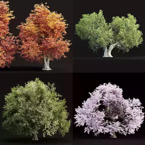 Seasonal Trees collection vol 14 