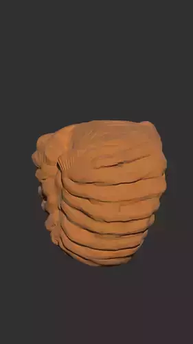 golem type chest with ribcage