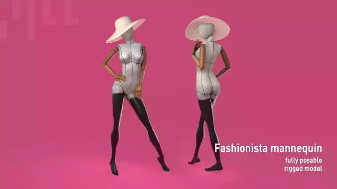 Fashionista Mannequin