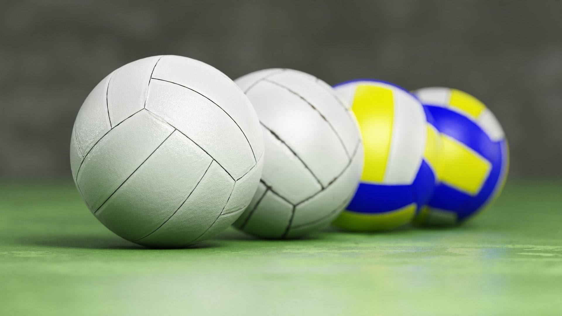 Volleyball set with 4 types material 3D model_2