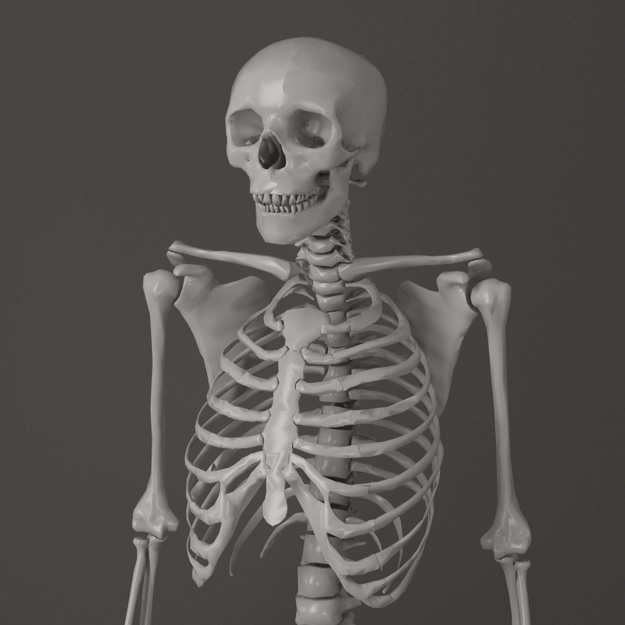Human Skeleton Caucasian 3D model 3D model | CGTrader