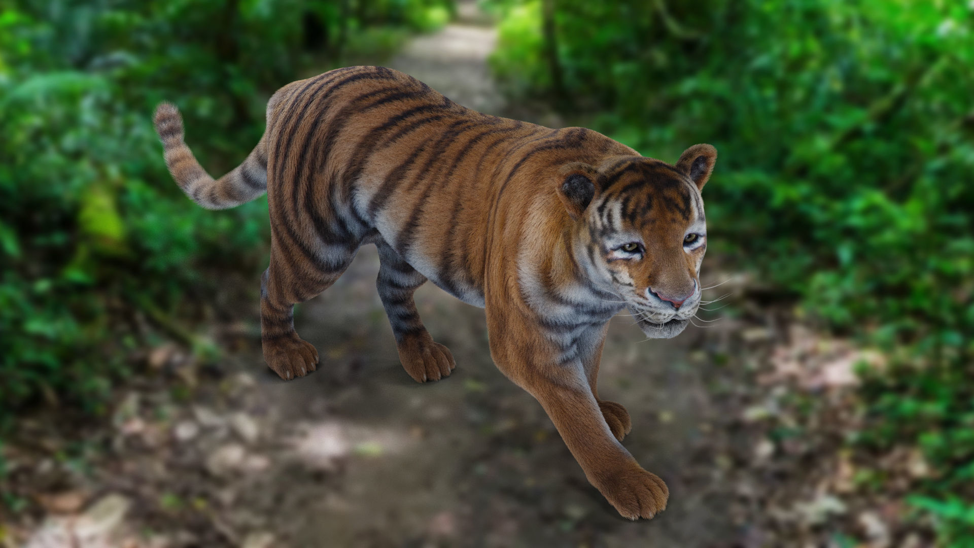 Fur Tiger Rigged and Animation in Blender Unity Low-poly 3D model_15