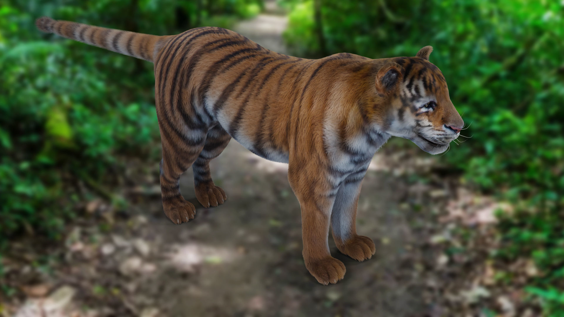 Fur Tiger Rigged and Animation in Blender Unity Low-poly 3D model_16