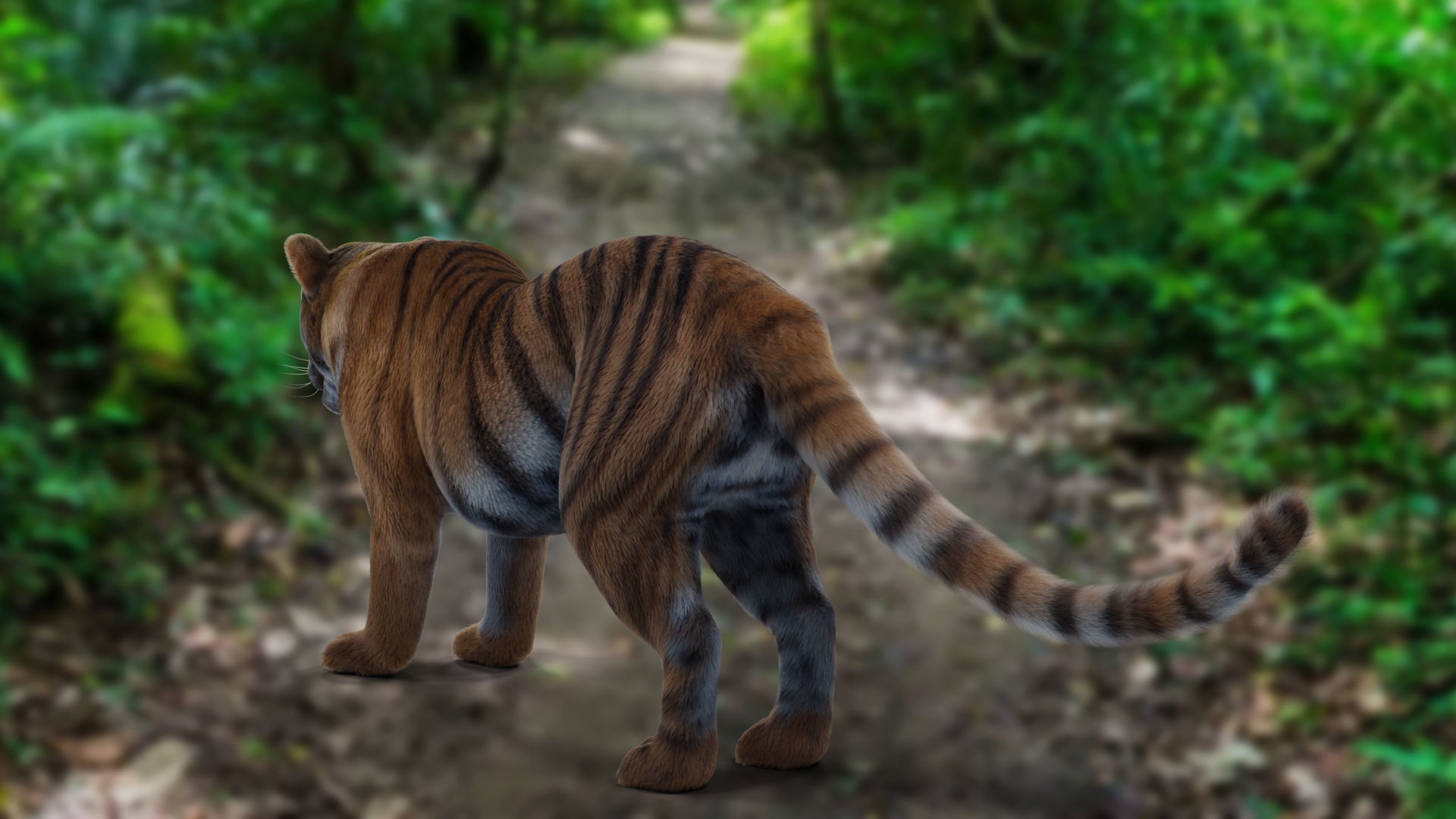 Fur Tiger Rigged and Animation in Blender Unity Low-poly 3D model_13