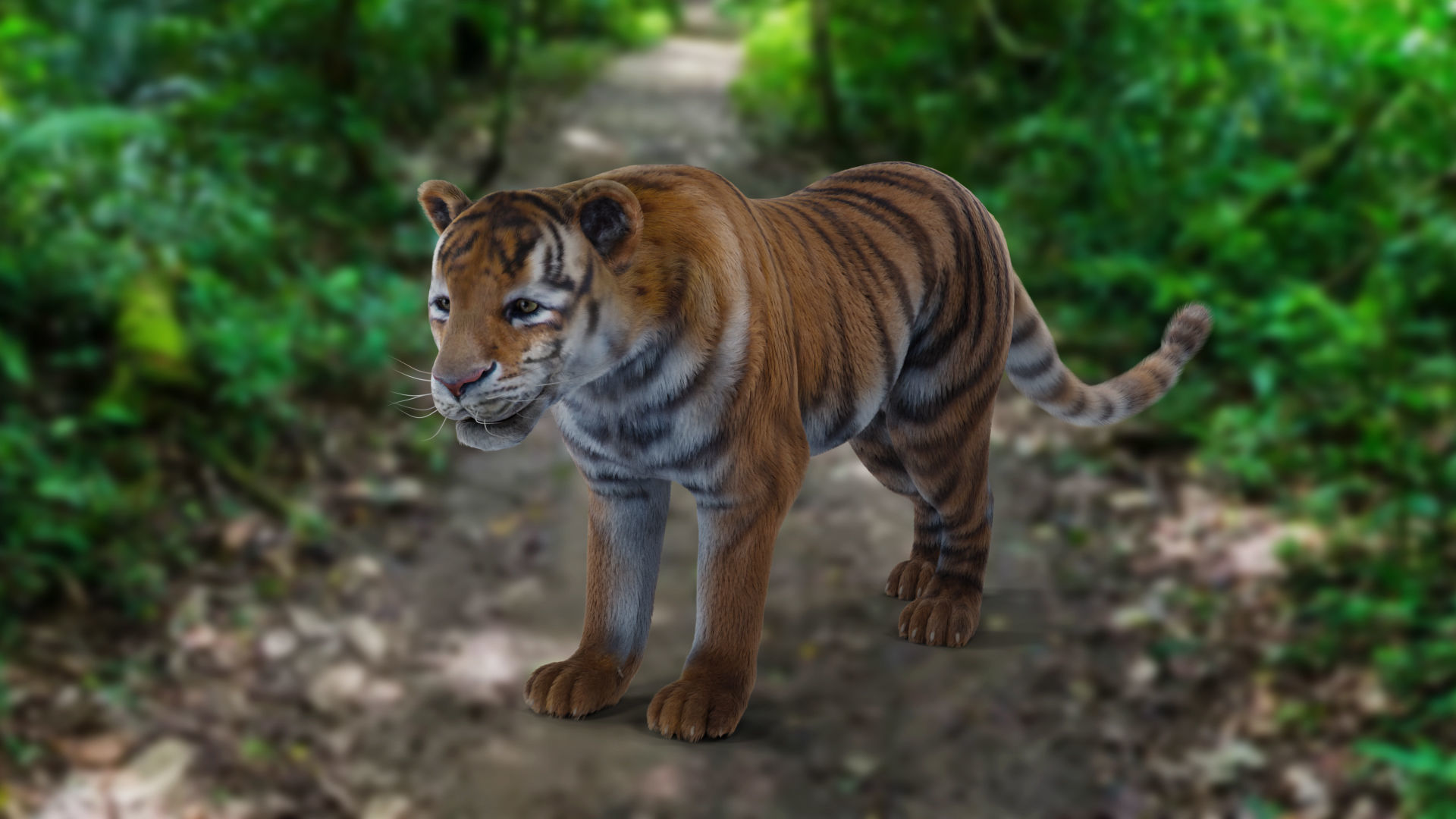 Fur Tiger Rigged and Animation in Blender Unity Low-poly 3D model_14