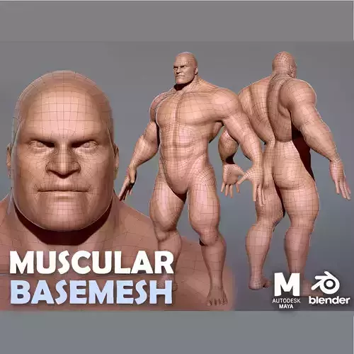 Muscular Male  BaseMesh Low-poly 3D model