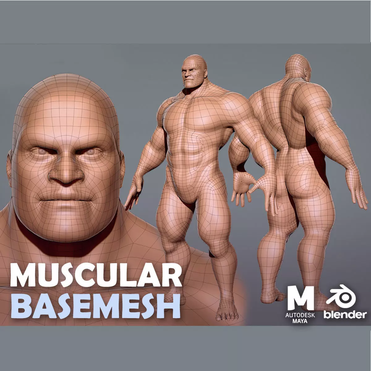 Muscular Male  BaseMesh Low-poly 3D model_0