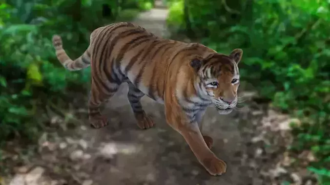 Fur Tiger Panther Rigged in Blender 