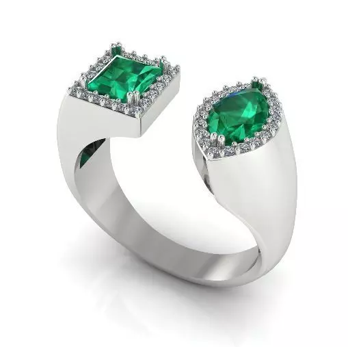 Ring Model 3932 3D print model_0