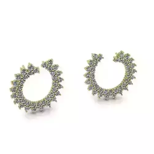 Fashion hoop earrings Model 3925