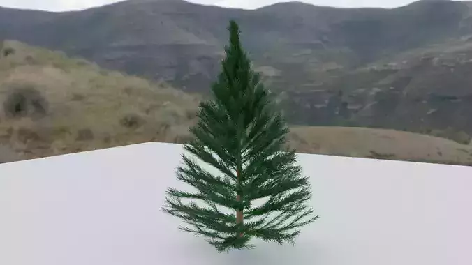Small Pine Tree Made by Blender Low-poly 3D model