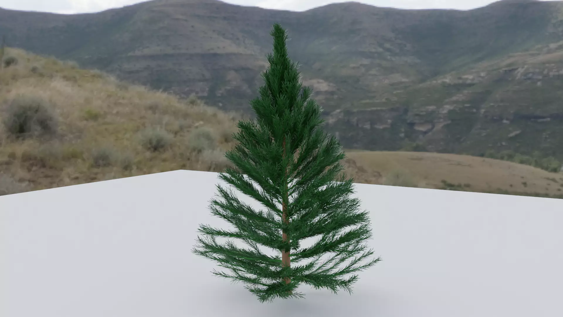 Small Pine Tree Made by Blender Low-poly 3D model_0