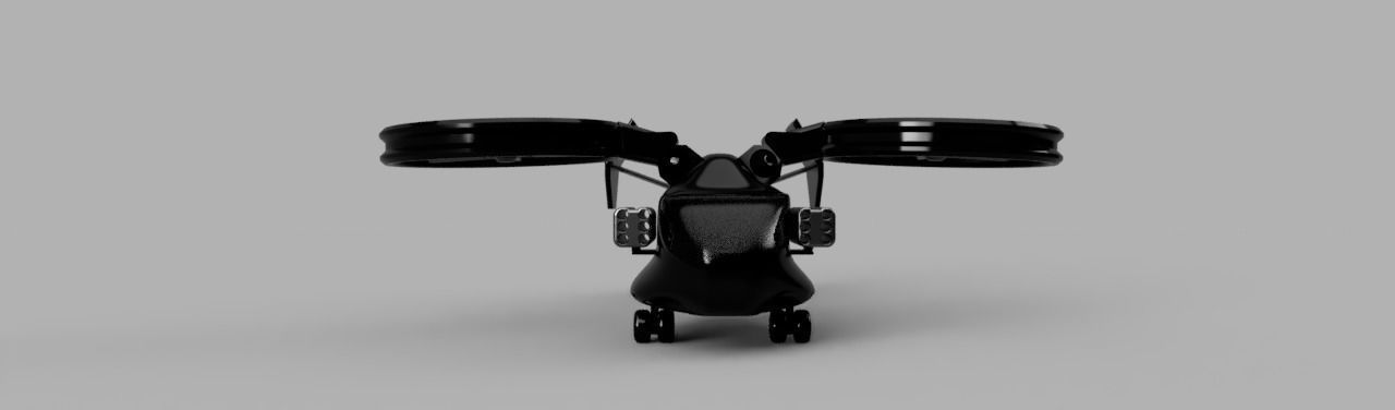 StealthHawk Free 3D model_5