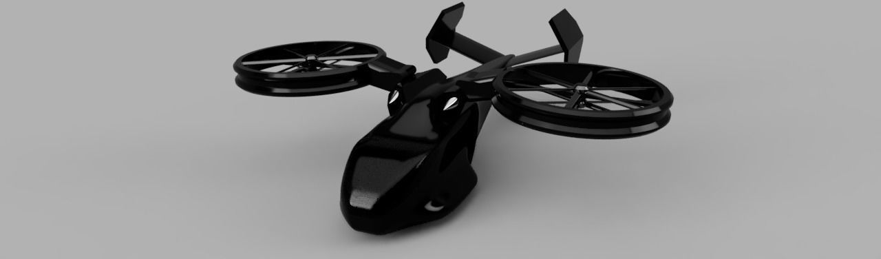 StealthHawk Free 3D model_2