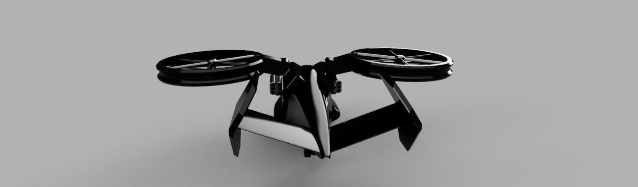 StealthHawk Free 3D model_1