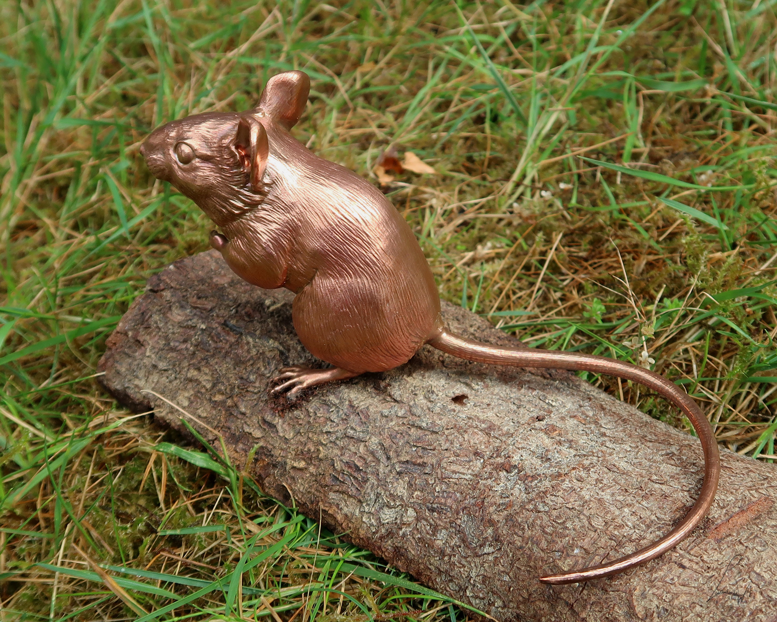 Wood Mouse 3D print model_3