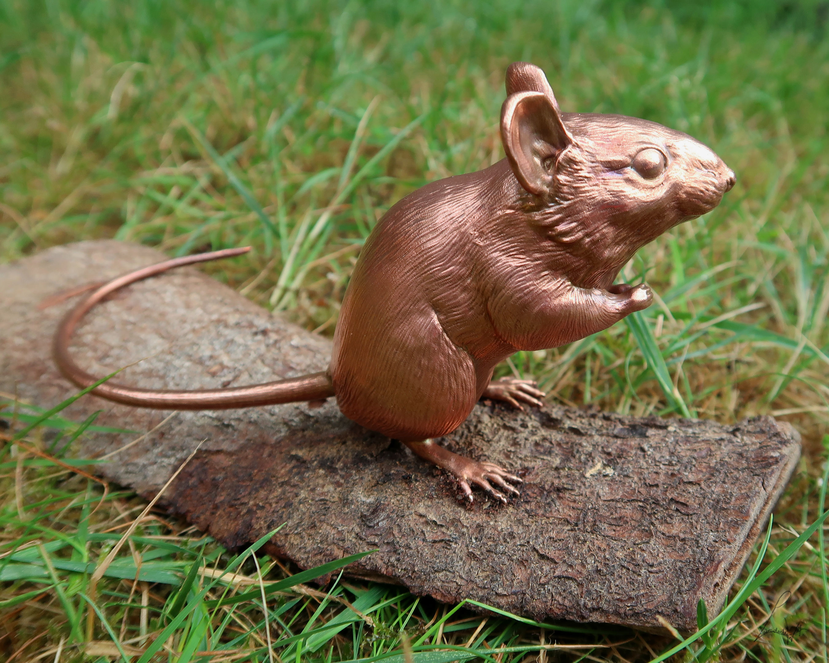 Wood Mouse 3D print model_2