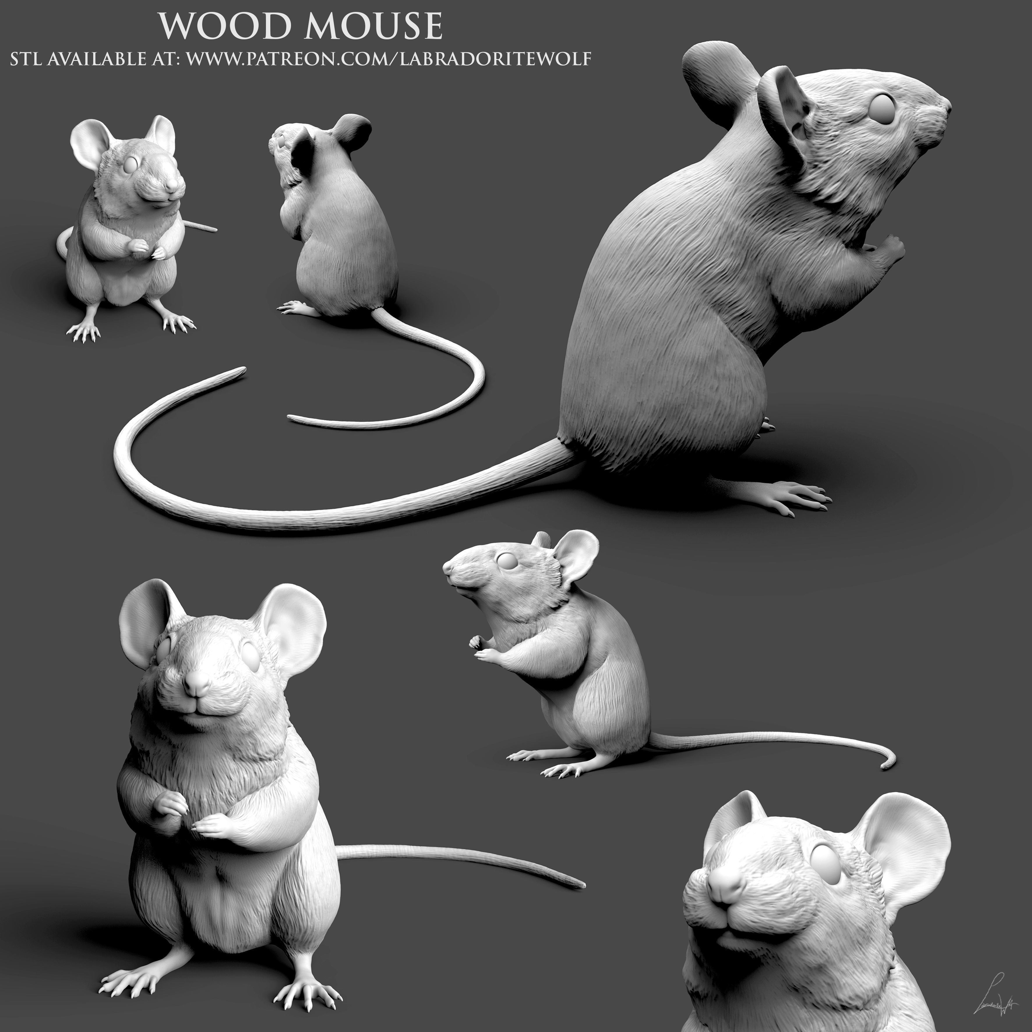Wood Mouse 3D print model_9