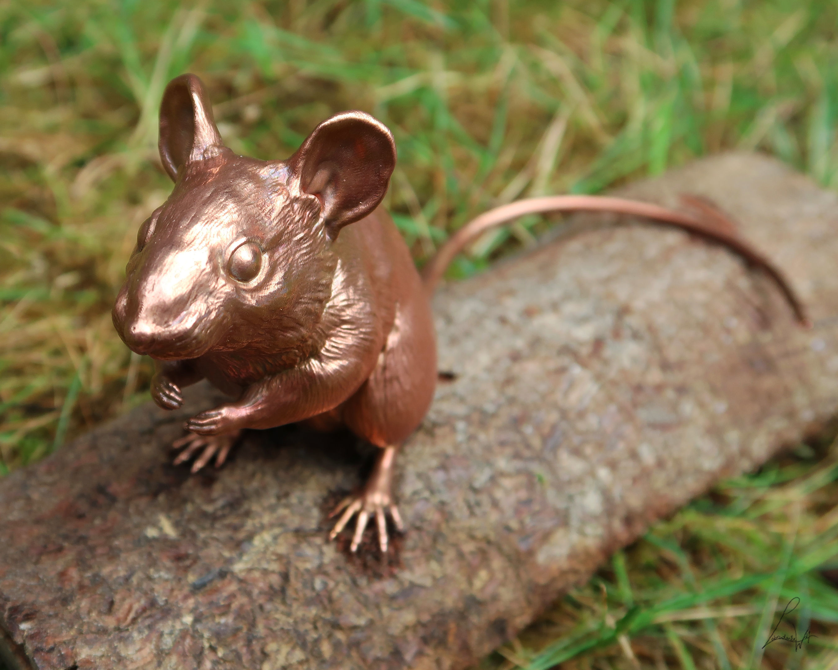 Wood Mouse 3D print model_4